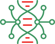 Next generation sequencing (NGS)